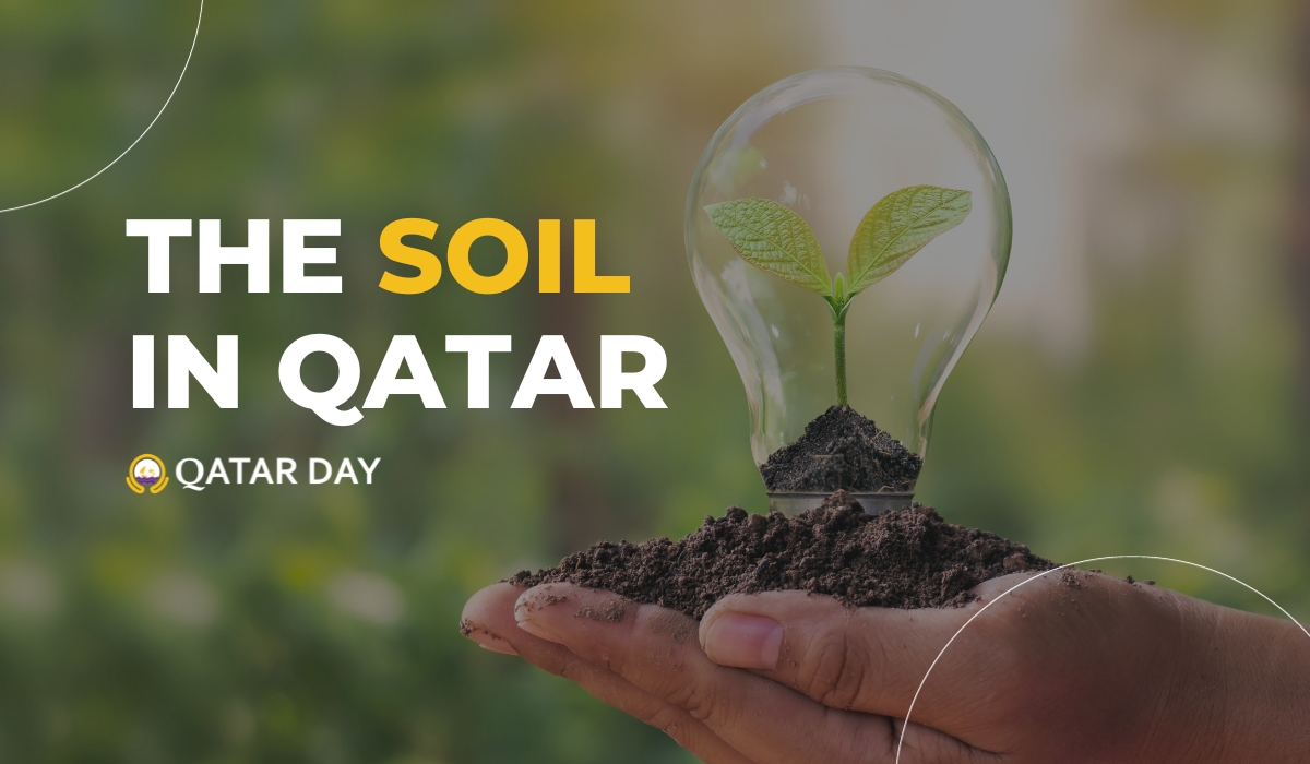 Soil In Qatar